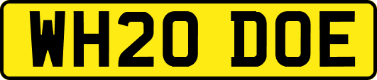 WH20DOE