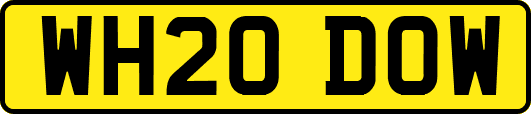 WH20DOW