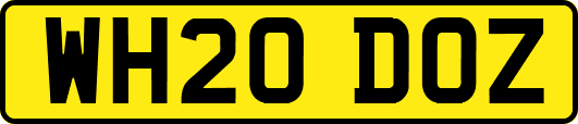 WH20DOZ