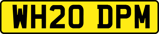 WH20DPM
