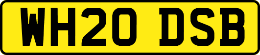 WH20DSB