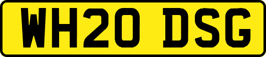 WH20DSG