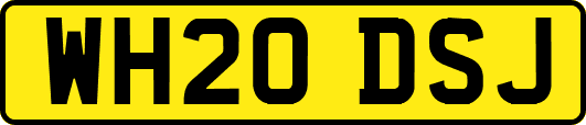 WH20DSJ
