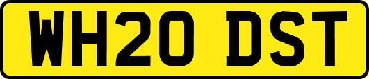 WH20DST