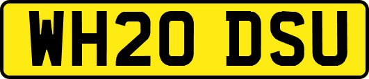 WH20DSU