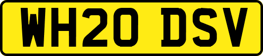 WH20DSV