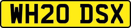 WH20DSX