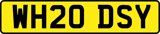 WH20DSY