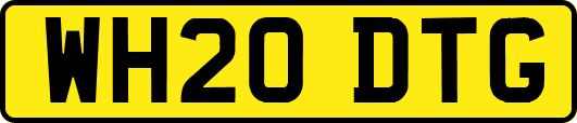 WH20DTG