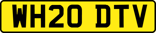 WH20DTV