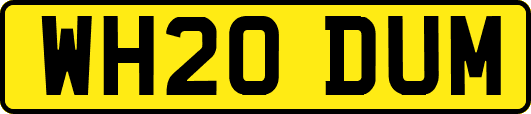 WH20DUM