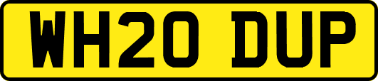WH20DUP