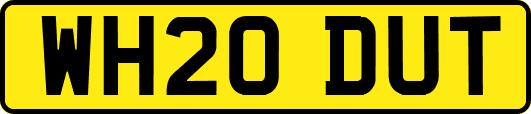 WH20DUT