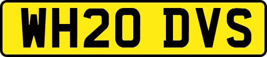 WH20DVS