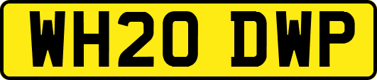 WH20DWP