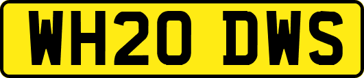 WH20DWS