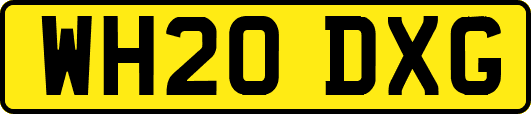 WH20DXG