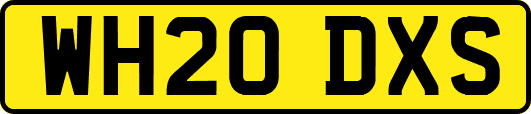 WH20DXS