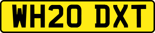 WH20DXT