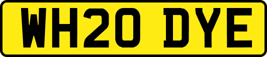 WH20DYE