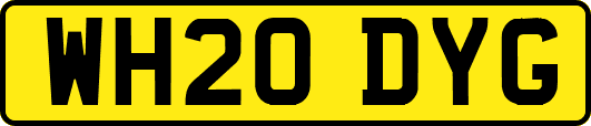 WH20DYG