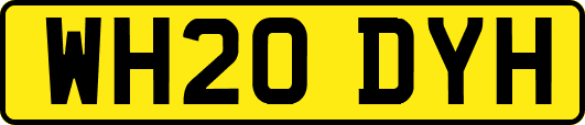 WH20DYH