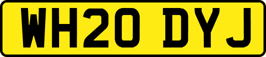 WH20DYJ