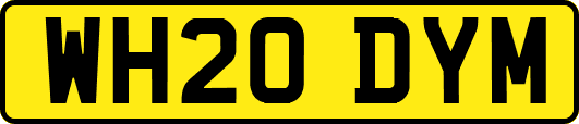 WH20DYM