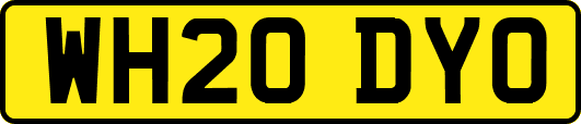 WH20DYO