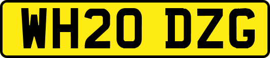 WH20DZG