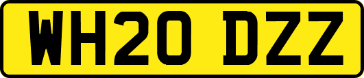 WH20DZZ