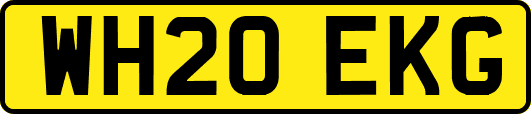 WH20EKG