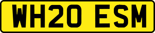 WH20ESM