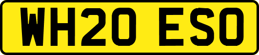WH20ESO