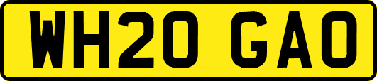 WH20GAO