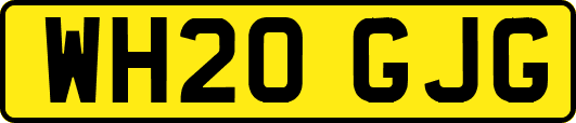 WH20GJG