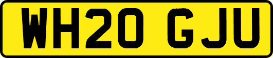 WH20GJU