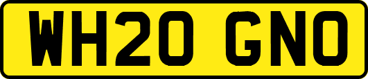 WH20GNO