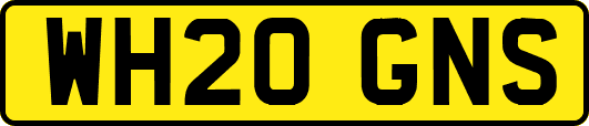 WH20GNS