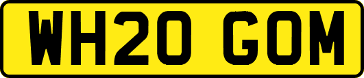 WH20GOM