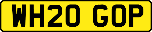WH20GOP