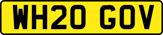 WH20GOV