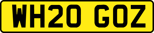 WH20GOZ