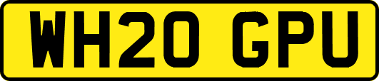 WH20GPU