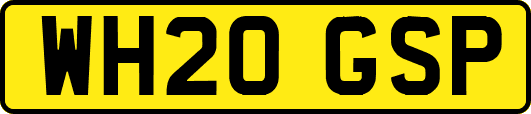 WH20GSP