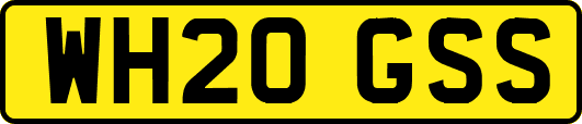 WH20GSS
