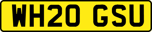 WH20GSU