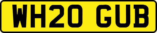 WH20GUB