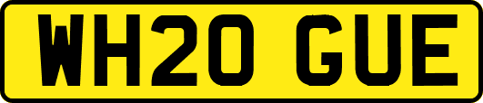 WH20GUE