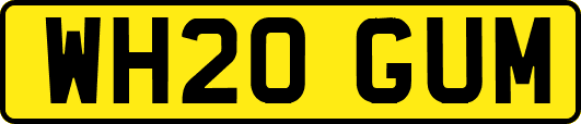 WH20GUM